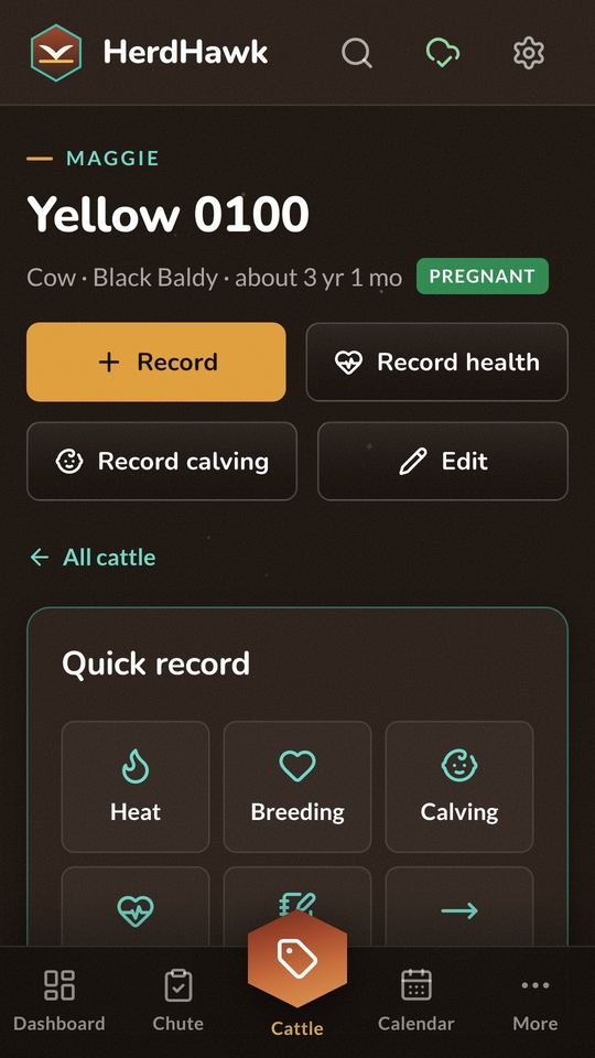 A cow's profile, Yellow 0100, marked pregnant, with buttons to record, record health, record calving and quick-record actions.