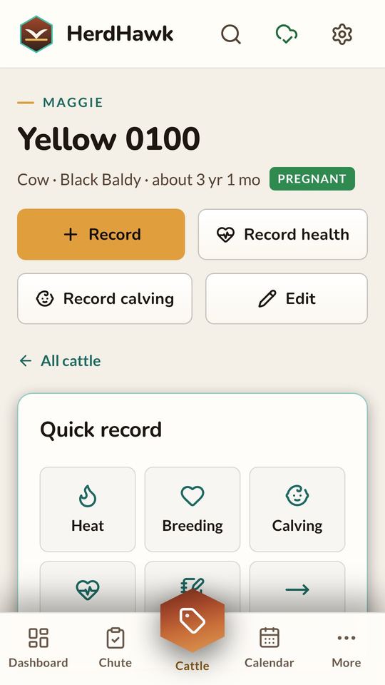 A cow's profile, Daylight theme.